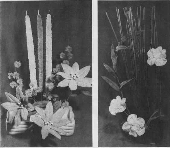 Flowers for remembrance and longevity - Taiwan Today